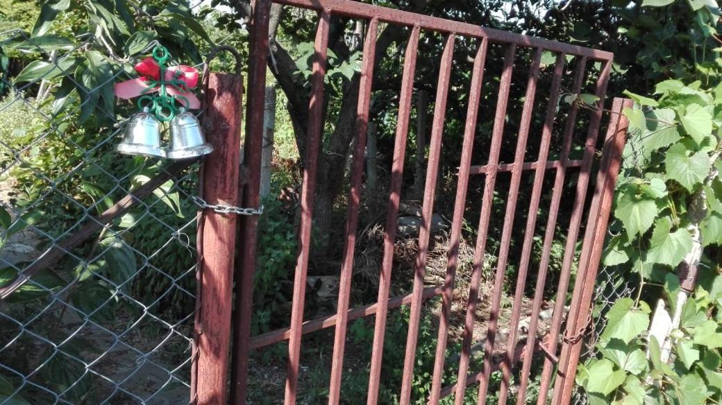 Вилна Зона Златни Пясъци, Спирка Ален Мак Várna Kültér fotó
